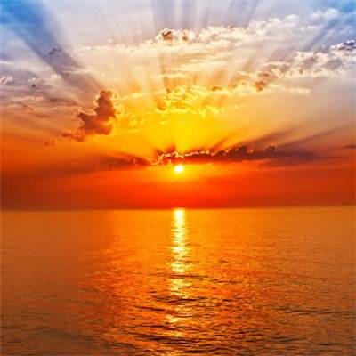 一分三快app下载手机版